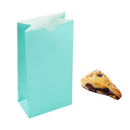 Turquoise Paper Bag (2 lb / Turquoise)