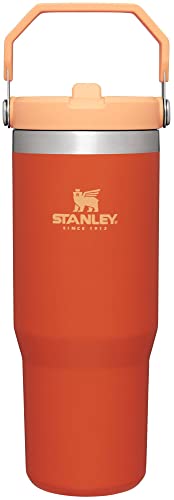 IceFlow Flip Straw Tumbler with Handle 30 oz (Tigerlily / 30 Ounces)