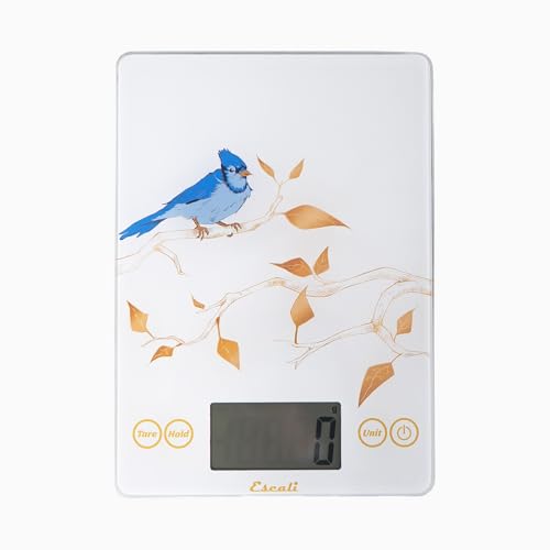 Arti Blue Jay Glass Food Scale Digital Countertop Kitchen (White / 9" X 6.5" X 0.75")