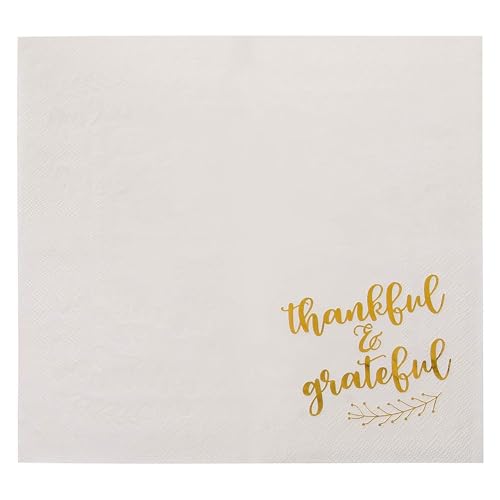 50 Pack Thanksgiving Cocktail Napkins Party Supplies Table Decorations (50 Pack)