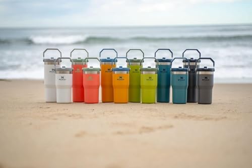 IceFlow Flip Straw Tumbler with Handle 20 oz (Charcoal / 20 Ounces)