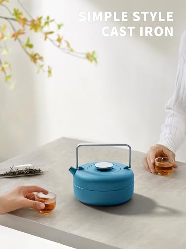 Teapot with Removable Infuser (0.8 Quarts / Blue Cylinder)