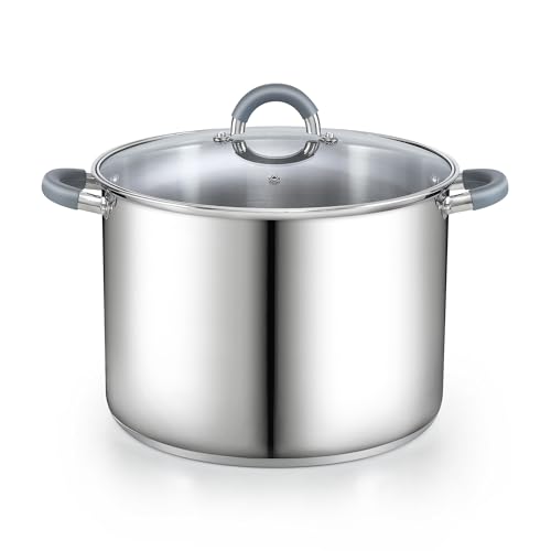 Basics 16 Quart Stainless Steel Stock Pot with Lid (16 Quarts / Gray Silicone Handle)
