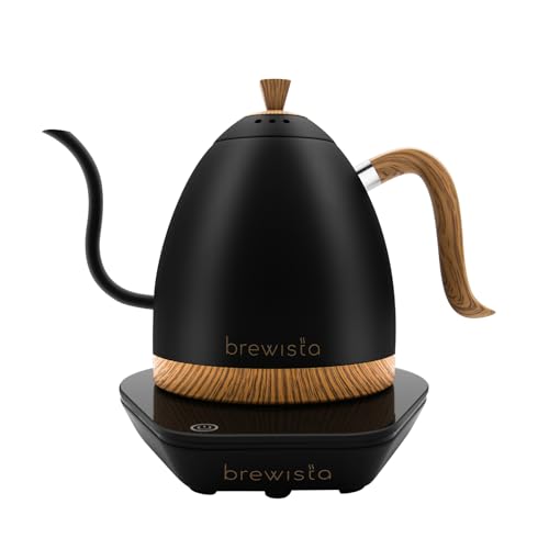 Artisan Electric Gooseneck Kettle (Matte Black)