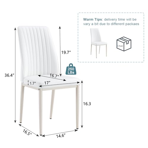 Modern Dining Chairs Set (B- All White)