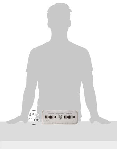 250 Egg Cartons (250 Count)