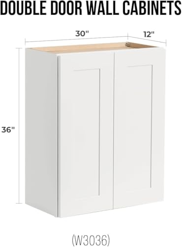 Wall Mounted Cabinet (White / 24" W x 12" D x 36" H)