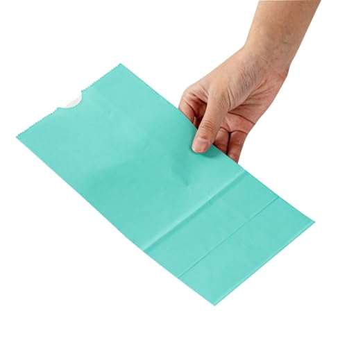 Turquoise Paper Bag (4 lb / Turquoise)