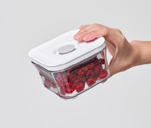 Premium Airtight Food Storage Containers (MINI SQUARE 0.3LX3PCS)