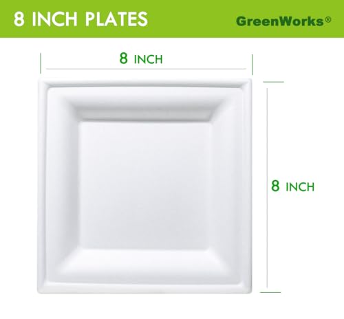 100 Count 8 Inch Square Compostable Plates (8 Inch)