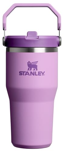 IceFlow 2.0 Flip Straw Tumbler (Lilac 2.0 / 20 Ounces)