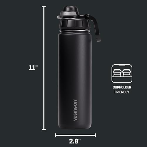 Vessence 24 Oz Stainless Steel Tea Infuser Bottle for Loose Leaf Tea (Reynisfjara Black / 24 Oz)