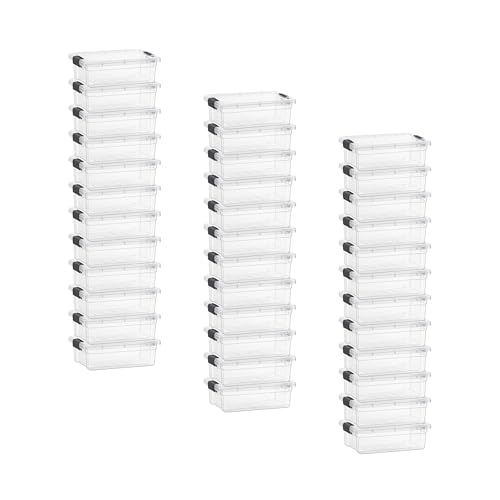 2.3 Quart Clear Plastic Storage Containers with Lids (2.3 Quart)