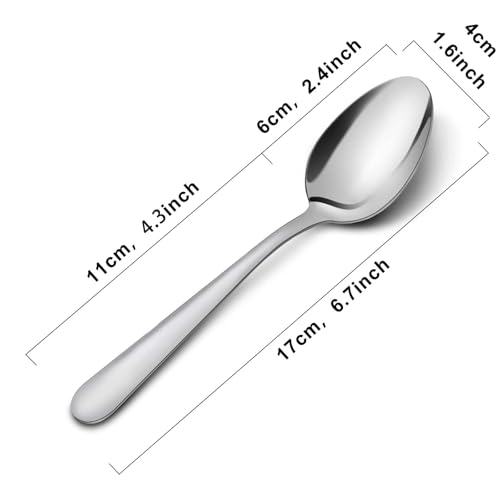 24 Piece Dinner Spoons Set (24p Dinner Spoons)
