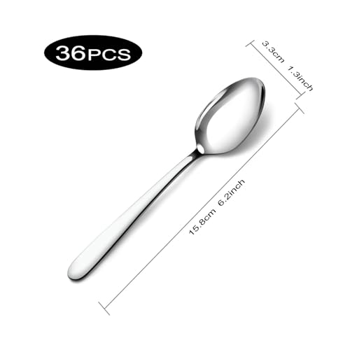 36 Pieces Teaspoons Set (36 Pcs 6.2'' Silver Teaspoons)