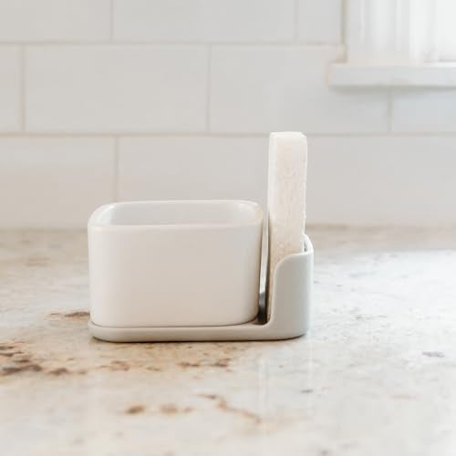 Bubble Up Dish Brush Set for Kitchen