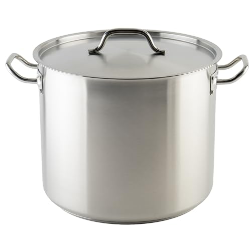 Silver 32 qt Stainless Steel Stock Pot with Cover (33.8 Quarts / Pot With Cover)
