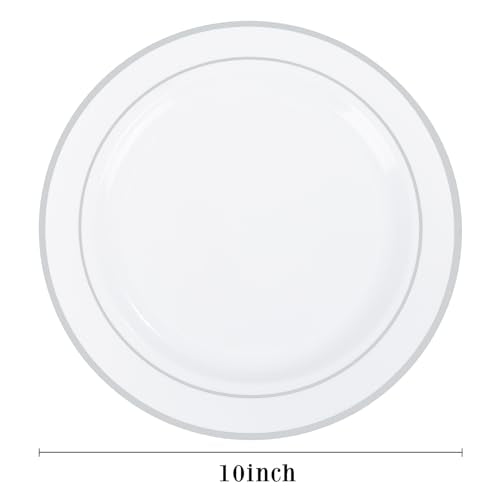 100PCS Silver Plastic Plates (Silver / 100 PCS)