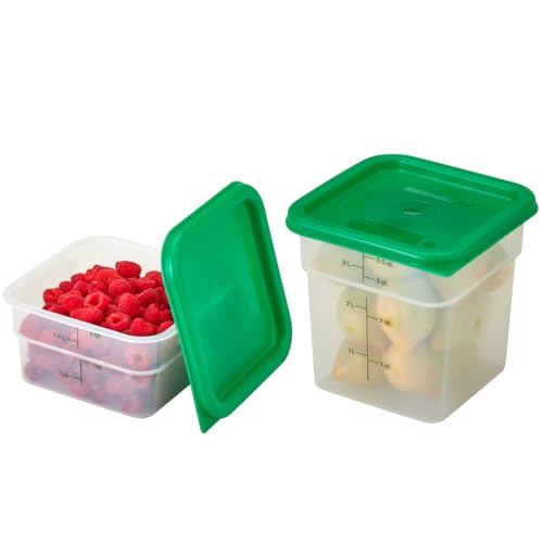 Food Storage Container with Lid (2 and 4 QT + Lid)