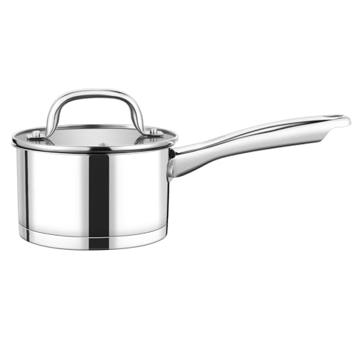 1 Qt Saucepan with Lid (1 Quarts)
