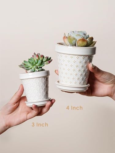 Ceramic Succulent Pots (4 inch)