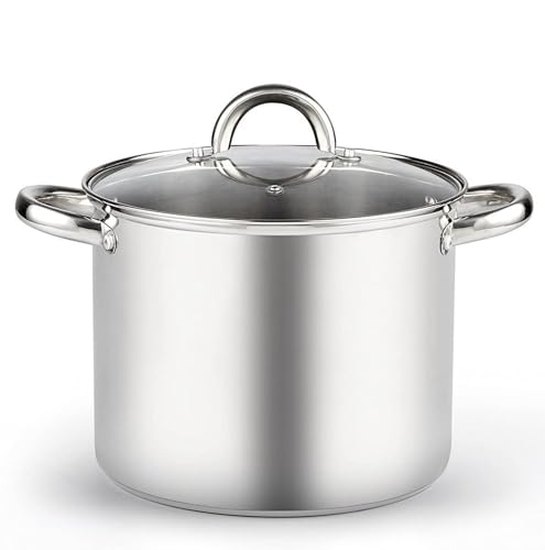 Basics 8 Quart Stainless Steel Stock Pot with Lid (8 Quarts / Silver)