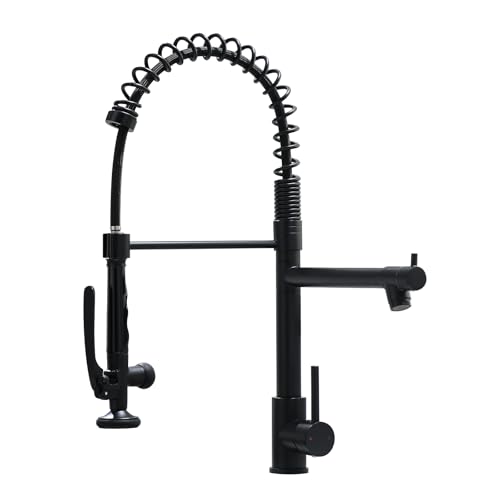 Black Kitchen Faucet (Matte Black)