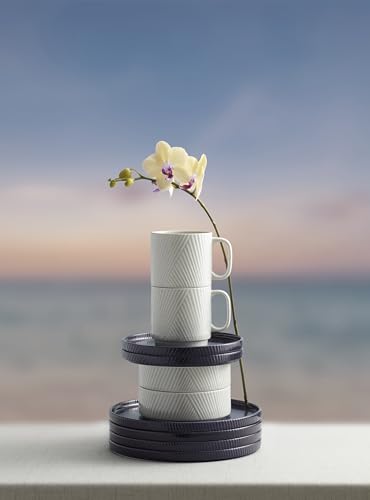 897948 Modulus 16 (Nightshade / 16-Piece Dinnerware Set)