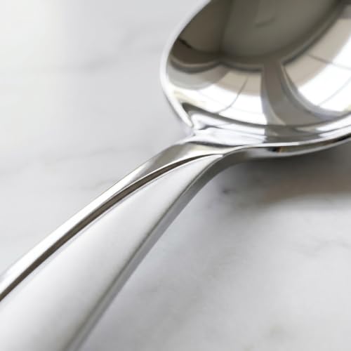 40 Piece Stainless Steel Silverware Set for 8 (Silver / 40-Piece)