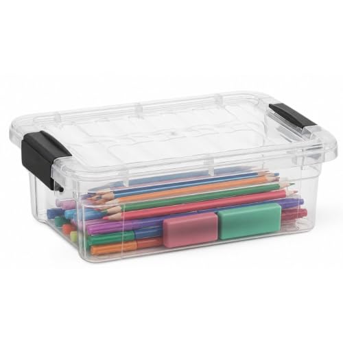 Clear Storage Boxes with Lids (8.25" x 5.5" x 3")