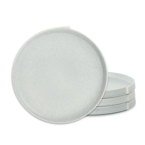 Bao 4 Piece Dinner Plate Set Stoneware (Blue-Grey / 4-Piece - Dinner Plate)