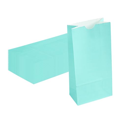 Turquoise Paper Bag (2 lb / Turquoise)