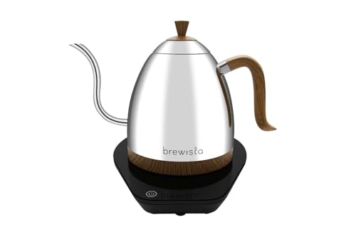 Artisan Electric Gooseneck Kettle (Mirror Polished)