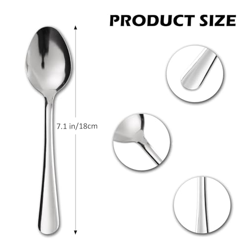 Windsor 36 Pcs Stainless Steel Dinner Spoons (36-piece Dinner Spoon)