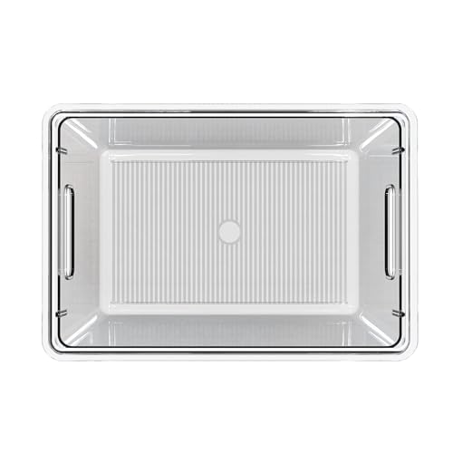 10 Pack Clear Storage Bins with Lids