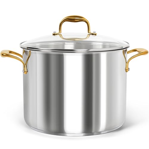 Stainless Steel Stock Pot with Lid (12 Quarts)