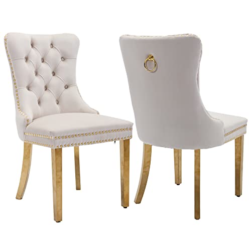Beige and Gold Velvet Dining Chairs Set of 2 (Classic Beige)