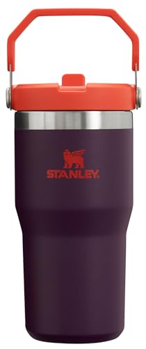 IceFlow Flip Straw Tumbler with Handle 20 oz (Plum / 20 Ounces)