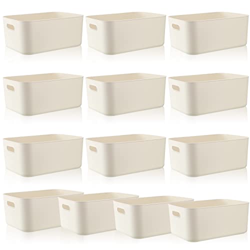 White Plastic Storage Bins (White / 14 x 10.5 x 6.4 Inch)
