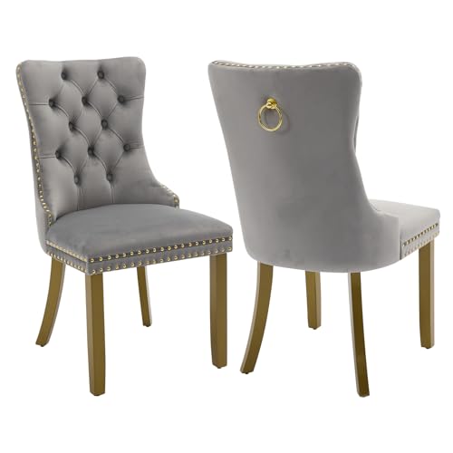 Grey Velvet Dining Chairs Set of 2 (Standard Gray)