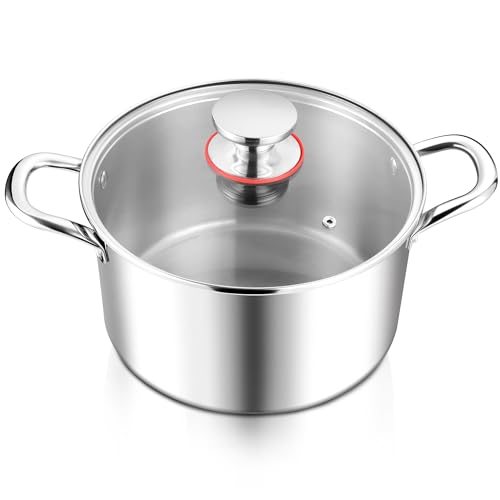 6 Quart Stock Pot