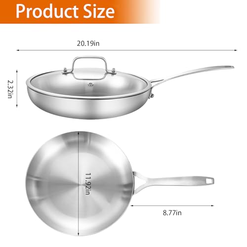 Tri Ply Stainless Steel Frying Pan 12" With Lid Kitchen Skillet (Silver)