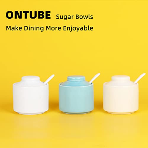 Ceramic Sugar Bowl with Lid and Spoon 8oz