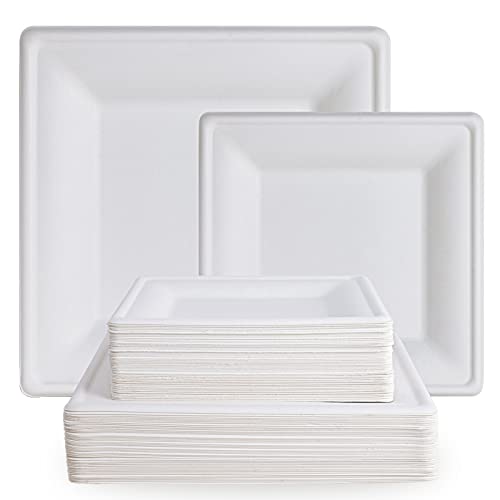 120 Pack Compostable Paper Plates Disposable (10 inch and 8 inch)