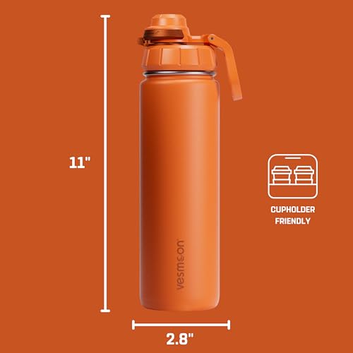 Vessence 24 Oz Stainless Steel Tea Infuser Bottle for Loose Leaf Tea (Mojave Orange / 24 Oz)