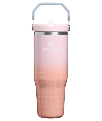 IceFlow 2.0 Flip Straw Tumbler (Sorbet Plus / 30 Ounces)