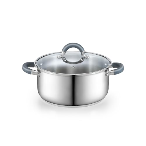Basics 5.5 Quart Stainless Steel Stock Pot with Lid (5.5 Quarts / Gray Silicone Handle)