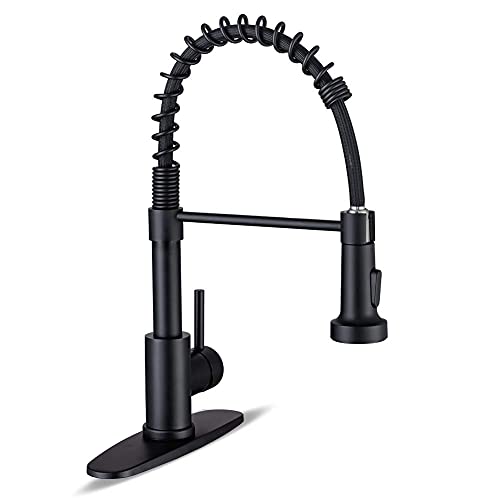 Black Kitchen Faucet with Pull Down Sprayer (Matte Black)