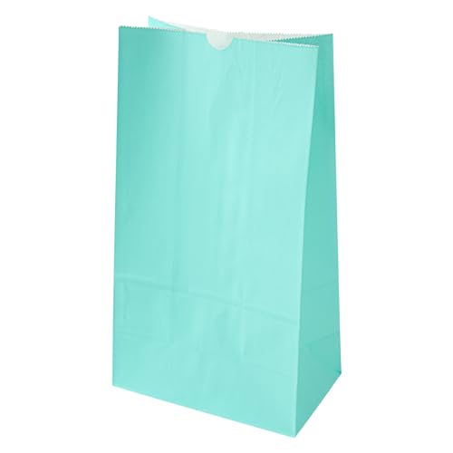 Turquoise Paper Bag (12 lb / Turquoise)