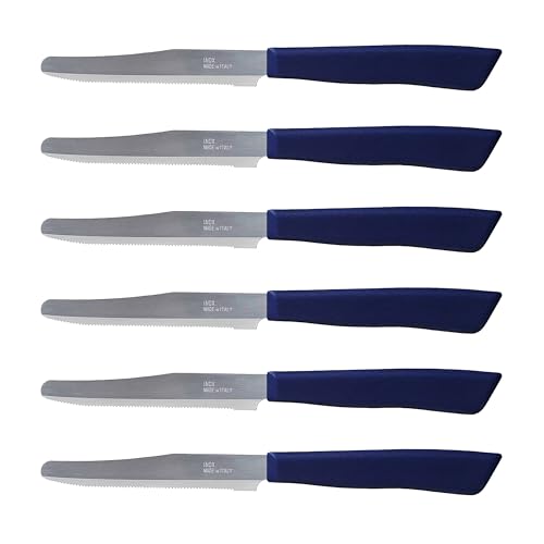 6 kitchen Knives Set (Blue)